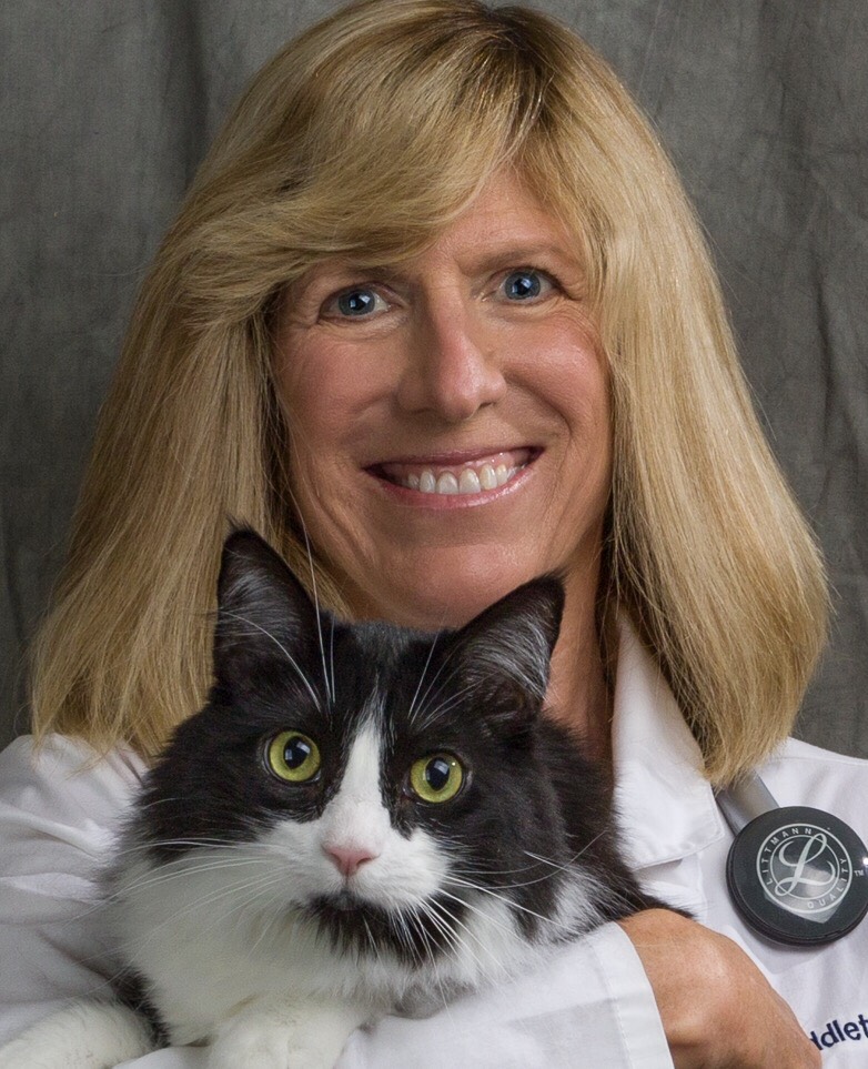 Dr. Ann Middleton of Cheshire Cat Clinic, the premier provider of feline-exclusive veterinary care in San Diego, California