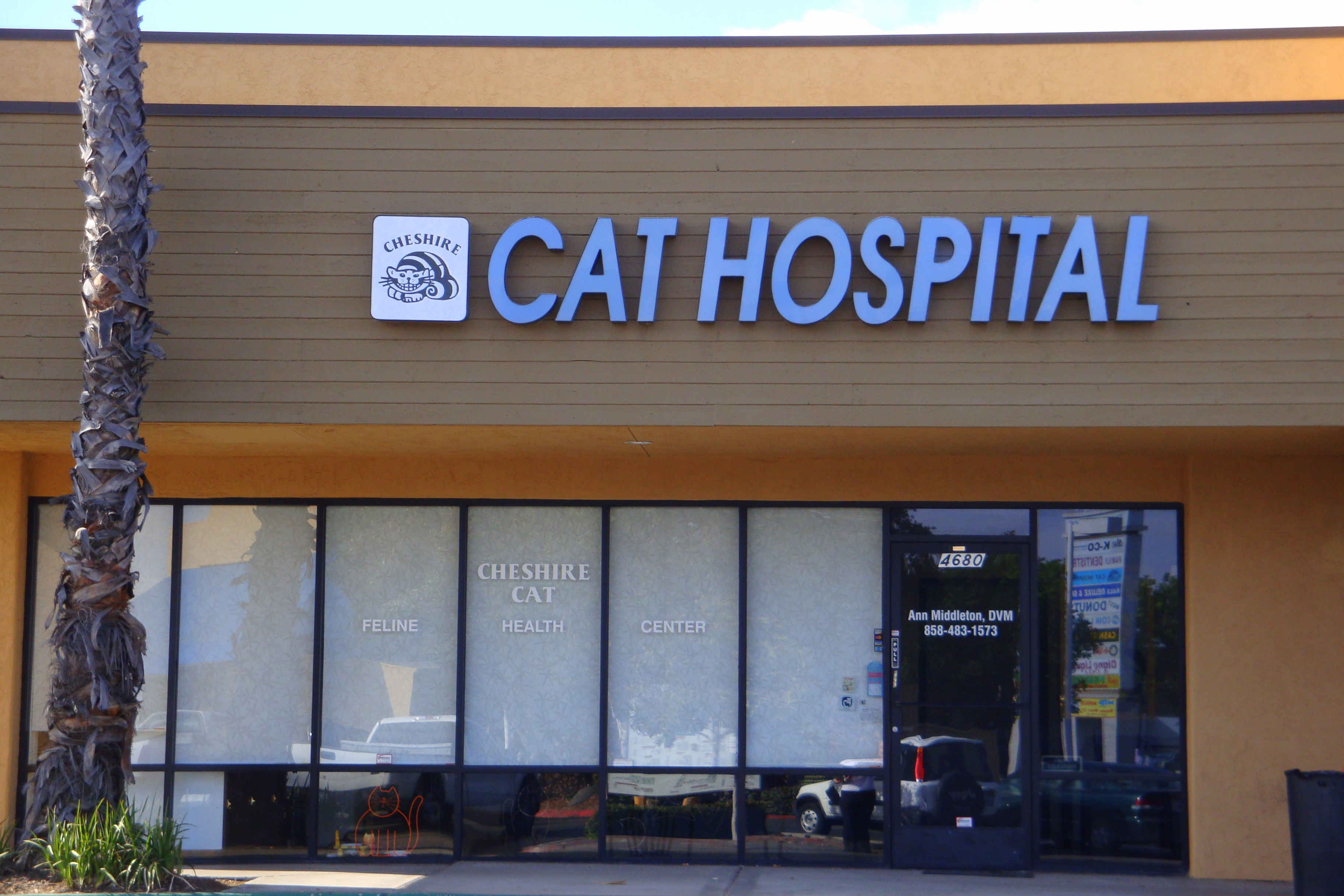 Cheshire Cat  Feline Health Center