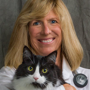 Profile for Ann Middleton