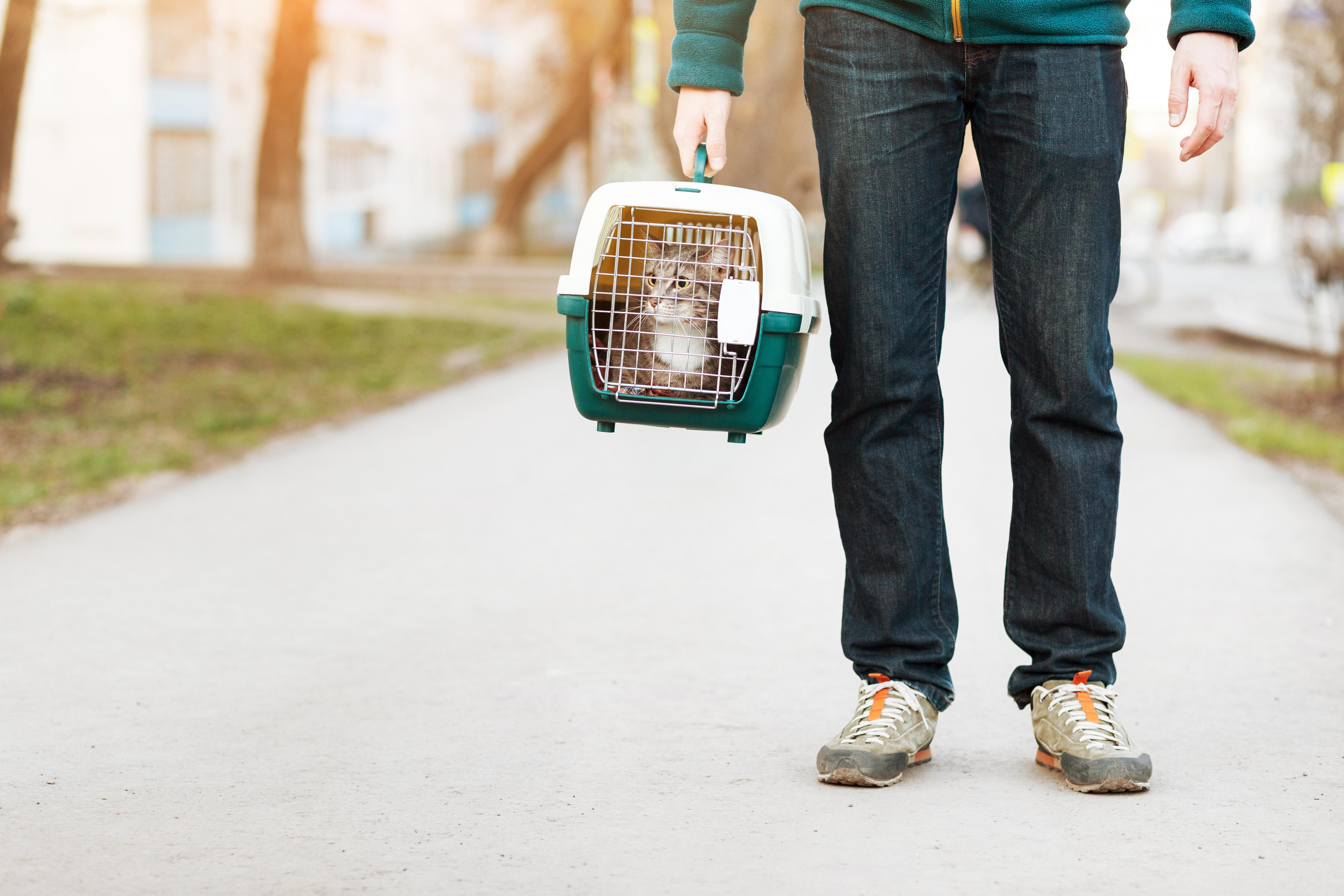 Person Standing with Cat in Carrier